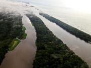 Top Tortuguero