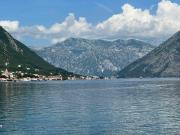 Top Kotor