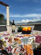 Top Kotor