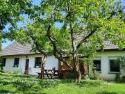 Top Černov