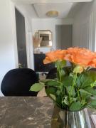 Lux suite in Split- Jacuzzi&Gym&more