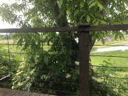 Top Tarnobrzeg Top Tarnobrzeg