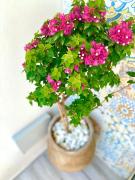 Top San Vito lo Capo