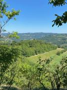 Top Benevello