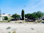 Hedera House