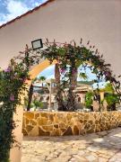 Top Hondón de las Nieves