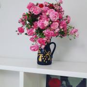 Top Tirana Top Tirana