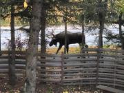 Top Anchorage