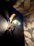 Top Saint-Marcel-dʼArdèche