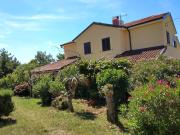 Top Zambratija