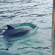 Ideal rural location for beaches, hills and town