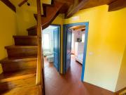 Top Pietrasanta Top Pietrasanta