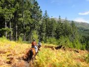 Top Arcos de Valdevez