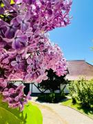 Ferienwohnung "Zur Rebe"