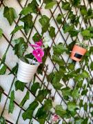 Apartment Tranquilo Apartment Tranquilo