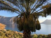 Top Emborios Kalymnos