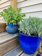 Top La Roque-dʼAnthéron Top La Roque-dʼAnthéron