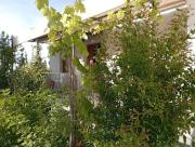 Top Anilio Pelion