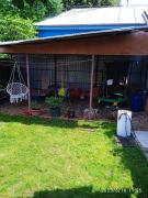 Top Tulcea Top Tulcea