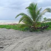 Top Marofarihy Top Marofarihy