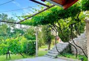 Top Podgorica
