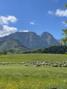 Domek VIATA Domek VIATA