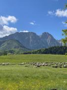 Top Zakopane