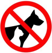 Top Gdańsk Top Gdańsk