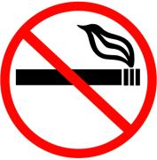 Top Gdańsk Top Gdańsk