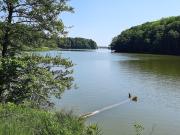 Top Wałcz Top Wałcz