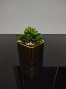 Top Víctor Larco Herrera