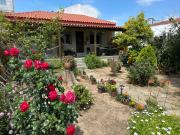 Λευκό γιασεμί - Νέες Παγασές Βόλος