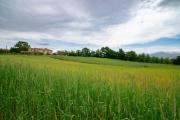 Top Gubbio