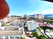 Top Jelutong