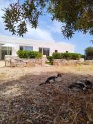 Top Torre Santa Sabina