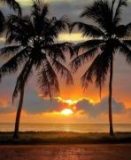 Flat Oka beach residence luxo