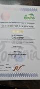 CASA DFG CASA DFG