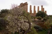 Top Agrigento