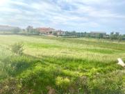 Top Cogollos de Guadix