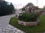 Top Plataria