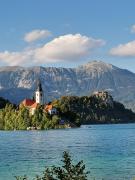 Top Bled