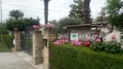 Top Musile di Piave
