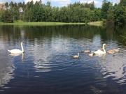 Top Humpolec Top Humpolec