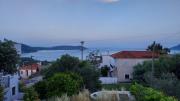 Top Skoutarion
