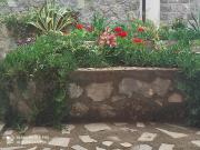 Top Budva