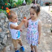 Top Budva