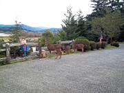 Top Gold Beach
