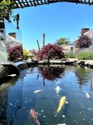 Top Gretna Green Top Gretna Green