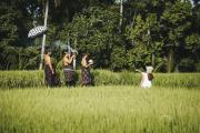 Top Ubud