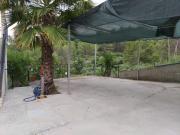 Jungle Jam Jungle Jam